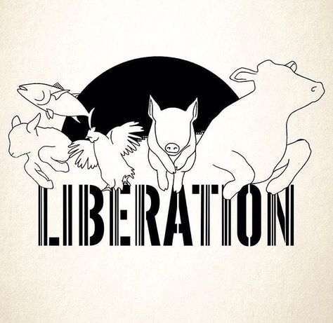 Animal Liberation Tattoo, Vegan Wallpaper, Dog Line Drawing, Vegan Art, Vegan Tattoo, Vegan Memes, Vegan Quotes, Animals Care, Animal Liberation