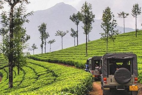 5 Days Kerala Private Tour Package with Houseboat stay provided by Saffron India Tours | Kochi (Cochin), Ernakulam District - TripAdvisor Munnar Photography Kerala, Kerala Images, Rare Species Of Animals, Kerala Backwaters, Morning Msg, Kodaikanal, Amazing India, Hills Resort, Artificial Lake