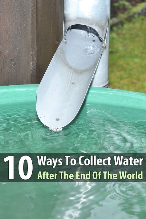 Every prepper knows you should store water, but what if a disaster happens while you're away from home? That's why you should learn how to collect water. Water Catchment, Survival Ideas, Rain Collection, Emergency Preparation, Survival Life Hacks, Urban Survival, Survival Techniques, Water Collection, Prepper Survival