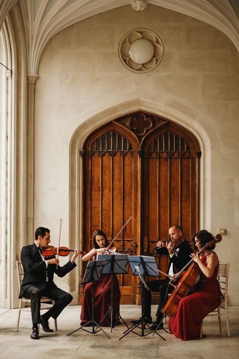 String Quartet Aesthetic, Classical Music Outfit, Orchestra Photography, Orchestra Aesthetic, Music Photoshoot, Wedding Musicians, Musical Performance, Classical Musicians, Instagram London