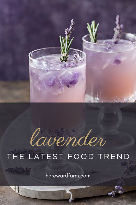 Lavender food trend is taking the culinary world by storm, thanks to its unique flavour and versatility in both sweet and savoury dishes. This aromatic herb not only offers a delightful taste but also boasts a plethora of health and wellness benefits. Lavender Food Ideas, Culinary Lavender Recipes, Lavender Food, Felt Doll Tutorial, Lavender Ideas, New Food Trends, Lavender Recipes, Culinary Lavender, Country Things