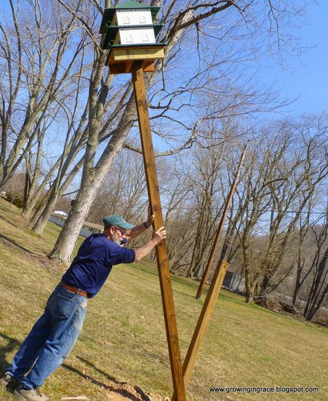 Growing in Grace: Purple Martin House on Swivel Pole Purple Martin House Plans, Birdhouse Pole, Purple Martin Birdhouse, Martin Bird House, Martin Bird, Purple Martin House, Purple Martin, Bat House, Bird House Plans