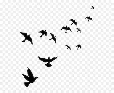 Birds In The Sky Drawing, Birds Flying Png, Non Copyright Images, Birds Flying Silhouette, Png Sky, Sky With Birds, Flying Bird Drawing, Birds Flying In The Sky, Birds Background