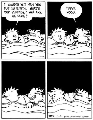 Calvin And Hobbes Humor, Best Calvin And Hobbes, Calvin Und Hobbes, Calvin And Hobbes Quotes, Sunday Comics, Bill Watterson, Calvin And Hobbes Comics, Sika Deer, Cartoon Strip