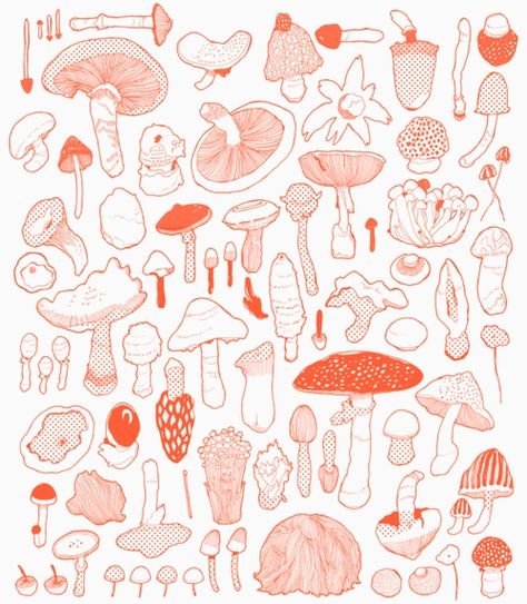 달력 디자인, Mushroom Drawing, Theme Nature, Arte Sketchbook, Mushroom Art, Hippie Art, Inspirational Images, Botanical Illustration, Drawing Inspiration