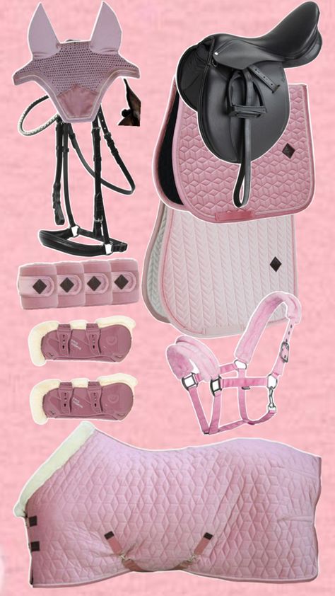 Western Riding Tack, Pony Tack, Horse Tack Rooms, Pink Horse, English Tack, Equestrian Aesthetic, Horse Riding Clothes, Shetland Pony, Horse Equipment