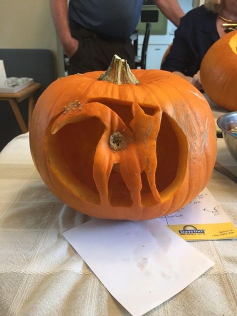 Funny Pumpkin Carvings, Unique Pumpkin Carving Ideas, Cat Pumpkin Carving, Cute Pumpkin Carving, Rescue Kittens, Disney Pumpkin Carving, Pumkin Carving, Pumpkin Carving Party, Creative Pumpkin Carving