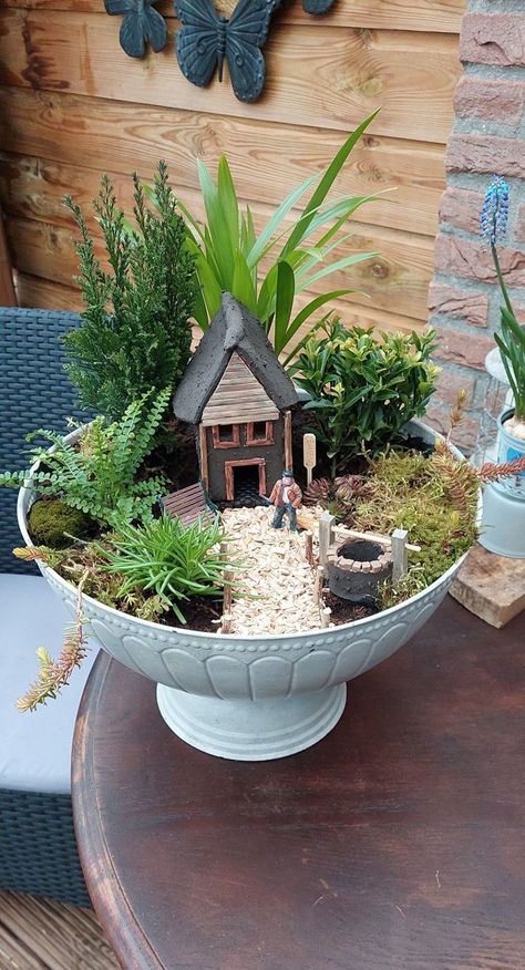 Best gardener garden projects garden outdoor gardening landscapi Miniature Fairy Garden Diy, Miniature Garden Design, Mini Cactus Garden, Succulent Garden Landscape, Fairy Garden Pots, Succulent Planter Diy, Teacup Gardens, Zen Garden Design, Backyard Garden Layout