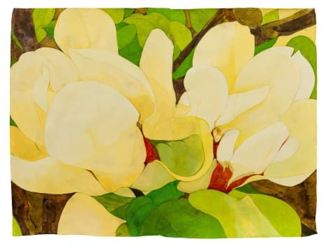 Sarah Graham, Magnolia soulangeana I, 2022 | Lyndsey Ingram Sarah Graham Artist, Magnolia Soulangeana, Sarah Graham, Flower Paint, London Venues, Collections Of Objects, Flowers Paintings, Watercolor Flower Art, Natural History Museum