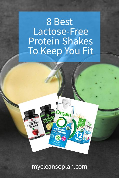 Are you lactose intolerant but you’re not sure which protein shakes are the best to keep you fit? Here are the 8 best lactose-free protein shakes to help you. #BetterTastingShakes #GoLactoseFree #GuiltFreeProtein #DontWorryJustFuel #ProteinWithoutPain #ProteinPowderFuel Lactose Free Protein Shake, Healthiest Protein Powder, Vegan Shakes, Best Protein Shakes, Pea Protein Powder, Smoothie Cleanse, Protein Shake Recipes, Lactose Intolerant, Good Smoothies