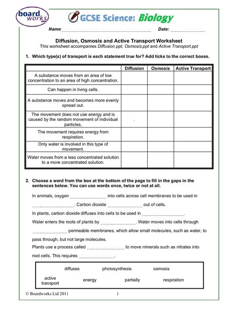 Transport In Cells Worksheet Diffusion And Osmosis, Diffusion Osmosis, Cell Membrane Transport, Membrane Transport, Active Transport, Passive Transport, Cell Transport, Cells Worksheet, Classroom Preparation