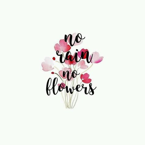 No rain, no flowers 😏 ' ' ' ' ' #akabellalettering #letter #lettering #handcalligraphy #handlettering #art #calligraphy #digitalart… Diy Numbers, Birthday Quotes Inspirational, Christmas Quotes Inspirational, Fonts Quotes, Kawaii Pens, Beautiful Poetry, No Rain No Flowers, Cards Quotes, Hand Lettering Quotes