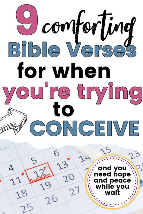 Bible Verse For Conceiving, Bible Verse For Trying To Conceive, Fertility Bible Verses, Bible Verses For Fertility Faith, Bible Verses For Pregnancy, Prayer To Get Pregnant, Fertility Prayer, Daily Bible Scriptures, Pregnancy Info