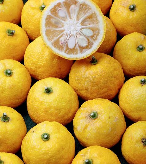 Yuzu Fruit: What Is It, Health Benefits, How To Eat, And Side Effects Yuzu Aesthetic, Rose Tea Benefits, Yuzu Fruit, Citrus Grove, Chia Seeds Benefits, Lemongrass Tea, Mango Seed, Bitter Melon, Bitter Gourd