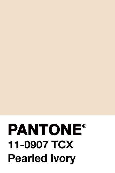 Brown Pantone, Ivory Color Palette, Modern Colonial, Colour Board, Cream Beige, Pantone Color, Colour Palette, Color Inspiration, Pastel Colors