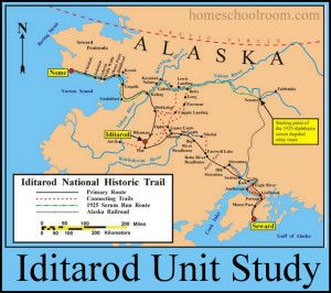 Iditarod Unit Study from HomeSchoolroom.com Iditarod Lessons, Bering Strait, Alaska Mountains, Alaska Railroad, Dog Sled, Sled Dogs, Sled Dog, The Great Race, Big River