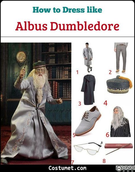 Dumbledore Halloween Costume, Albus Dumbledore Costume, Diy Party Costumes, Dumbledore Cosplay, Dumbledore Costume, Harry Potter Halloween Costumes, Harry Potter Dumbledore, Harry Potter Theme Birthday, Harry Potter Owl