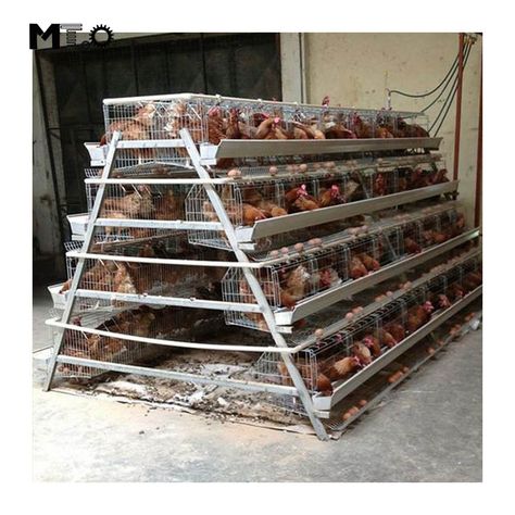 Poultry Farm Design, Cages For Sale, Chicken Shed, Layer Chicken, Poultry House, Backyard Chicken Coop Plans, Chicken Nesting Boxes, Poultry Cage, Diy Chicken Coop Plans