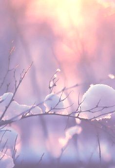 Winter sun in all its beauty. Snow Days, Winter Love, Winter Magic, Winter Beauty, Winter Wonder, Winter Aesthetic, Winter Is Coming, Winter Scenes, Nature Wallpaper