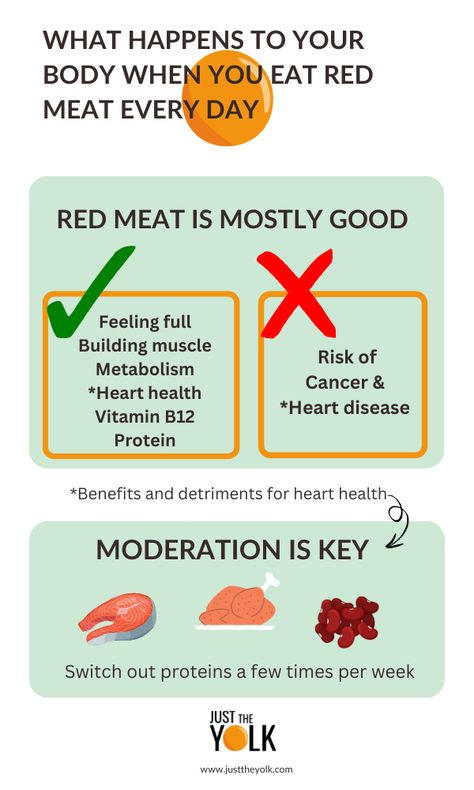 red meat infographic Red Meat Substitutes, Red Meat Benefits, Red Meat Benefits Health, Protein That Isnt Meat, Lean Red Meat, Balanced Healthy Diet, Raw Meat Dog Diet, Protein Benefits, Nutrition Infographic