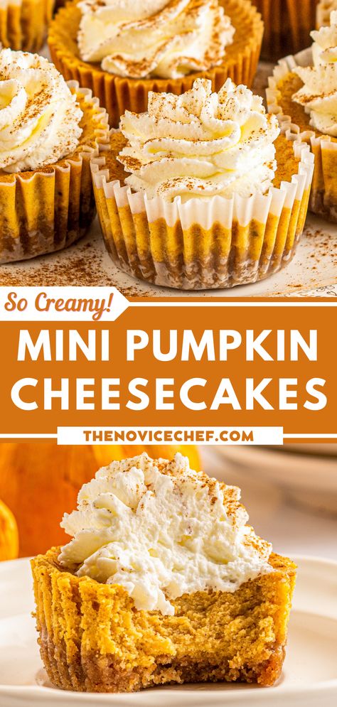 Look no further for the best bite-sized fall treat. Here's a new pumpkin-flavored treat to try. And you're going to love it! These Mini Pumpkin Cheesecakes have a velvety rich filling with a buttery graham cracker crust. Every bite has flavor from the warm fall spices and is perfectly creamy and rich! Pumpkin Cheesecake In Muffin Tin, Cheesecake Bites Pumpkin, Pumpkin Cheesecakes Mini, Mini Pumpkin Cheesecake Recipes Easy, Pumpkin Spice Pastries, Gluten Free Pumpkin Cheesecake Bites, Deserts For Friendsgiving, Pumpkin Spice Cheesecake Cups, Pumpkin Spice Mini Cheesecakes