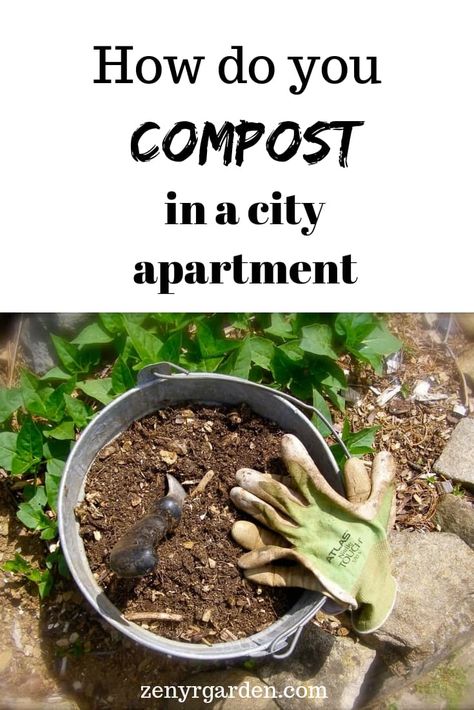 How to compost in a city apartment without the smell & the flies. Composting In An Apartment, Apartment Composting, Red Wigglers, Black Soldier Fly, Diy Compost, Urban Apartment, Worm Farm, Food Scraps, Kitchen Waste