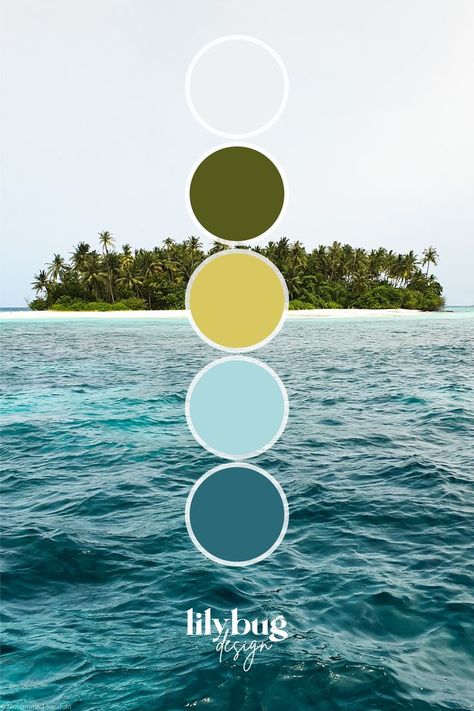 Caribbean Color Palette, Ocean Colour Palette, Lilybug Design, Friendly Graphic Design, Color Palette Shades, Reptile Store, Ocean Color Palette, Moody Tropical, Beach Color Palettes