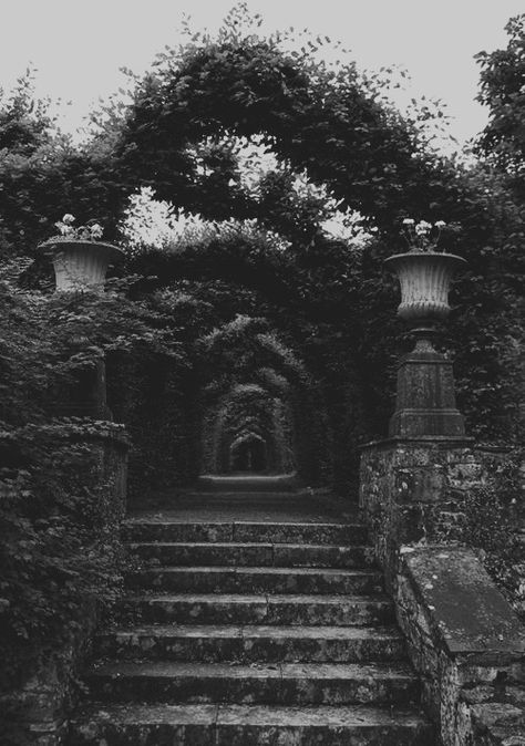 Garden Of Eden Aesthetic Dark, Garden Aesthetic Art, Dark Garden Aesthetic, Secret Garden Aesthetic, Green Academia Aesthetic, Green Nature Aesthetic, Gothic Landscape, Carnival Fantasy, Aesthetic Rain