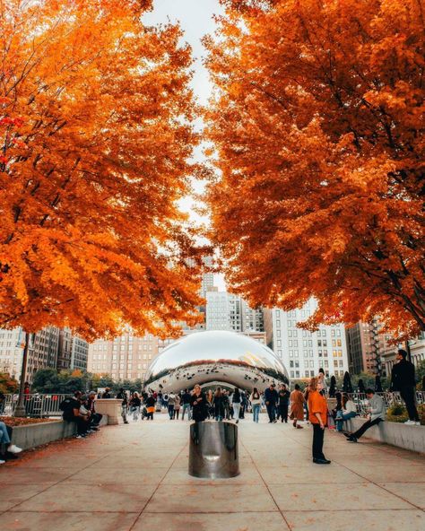 Today USA - Chicago fall colors are just around the corner ‼️🍁 Autumn In Chicago, Chicago Fall Aesthetic, Chicago In Fall, Chicago Autumn, Chicago In The Fall, Fall In Chicago, Fall Chicago, Blonde Couple, Chicago Fall