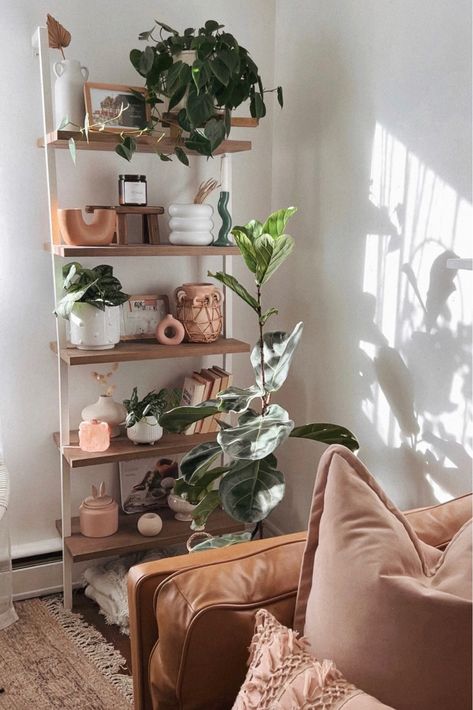 Shop Theo Ladder Bookcase and other curated products on LTK, the easiest way to shop everything from your favorite creators. Boho Interiors, Plant Aesthetic, Bohemian Design, Decor Home Living Room, Ladder Bookcase, Bohemian Home, Small Space Living, Apartment Therapy, Modern Boho