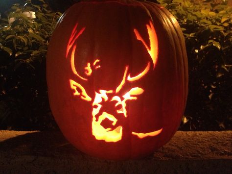 11 creative pumpkins carved to look like wildlife Pumpkin Carving Ideas Deer, Hunting Pumpkin Carving Ideas, Hippie Pumpkin Carving, Deer Pumpkin Carving Ideas, Deer Pumpkin Carving, Country Pumpkin Carving, Deer Pumpkin, Camo Rooms, Awesome Pumpkin Carvings