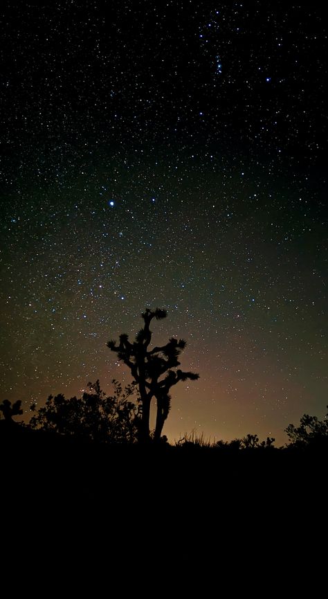 Astrophotography at Joshua tree national park Joshua Tree Night Sky, Joshua Tree Night, Joshua Tree Wedding, Drawer Organization, 1% Wallpaper, Joshua Tree National Park, Tree Wedding, Dark Skies, Joshua Tree