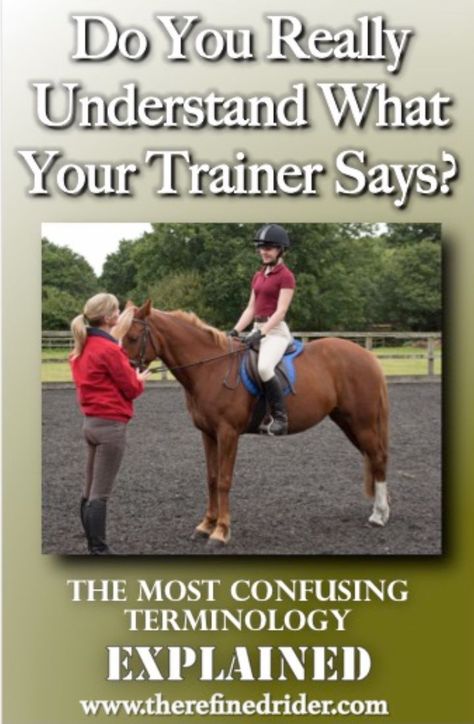 Flatwork Exercises Horses, Horse Tricks, Riding Instructor, Dressage Exercises, Horse Lessons, Healthy Horses, Horse Information, Horse Exercises, Horse Facts