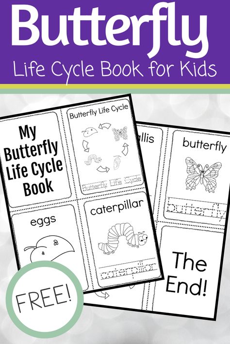 Here’s a simple butterfly life cycle printable book for preschoolers. Teach them the four stages of a butterfly’s life this spring. #butterflyprintable #butterflypreschoolactivities #lifecycleofabutterfly #homeschoolprek