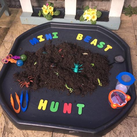 Home From Home on Instagram: “We can’t have mini beast week without a bug hunt. 🕷 🐞 🦋 🐌🦟🐛🐝🦂 #welovespringplay #april_play #minibeasts #eyfs #kidsactivities…” Messy Play Tuff Tray Ideas Eyfs, Messy Play Ideas Eyfs, Early Years Tuff Tray, Mini Beast Activities, Eyfs Activities 2-3, Messy Play Eyfs, Mini Beasts, Mini Beast Activities Eyfs, Eyfs Minibeasts Activities