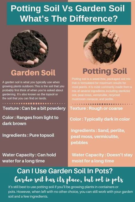 If you’re thinking of the differences between potting soil vs garden soil , it may already be a bit confusing with if is topsoil the same as potting soil and when to use each.  ......The answer to this question is, no.  So, What's The Difference Between Topsoil And Potting Soil? Garden soil and potting mix may sound like the same to you, but you should know the difference.  Knowing more about these two can help you decide which one will work best with your gardening setup and the types of plants Soil Mixture, Mushroom Compost, Garden Types, Better Homes And Garden, Top Soil, Grass Seed, House Plants Indoor, Organic Matter, Garden Soil