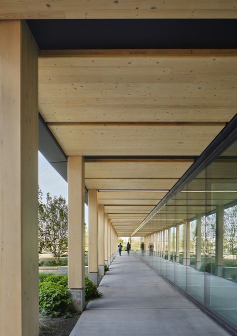 Katerra and Michael Green Architecture complete the Catalyst Building in Spokane, Washington Cantilever Architecture, Timber Pavilion, Sustainable Building Design, Studio Dance, Timber Architecture, Building Management, Concrete Architecture, Building Front, Timber Buildings