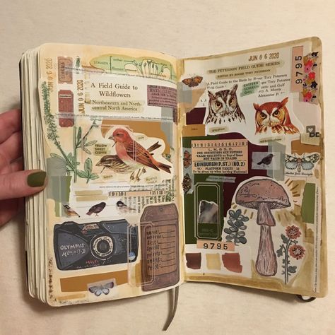 Junk Sketchbook Ideas, Scrapbook Ideas Nature, Coffee Junk Journal Ideas, Nature Journal Aesthetic, Nature Scrapbook Ideas, Junk Scrapbook Ideas, Journal Layout Aesthetic, Junk Journal Layout Ideas, Junk Journal Scrapbook