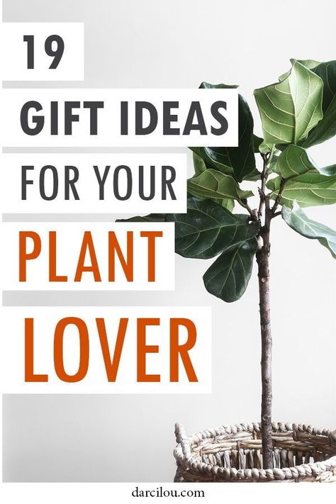 Do you need a gift for your plant-loving friend or garden mama? I have gathered the perfect list of presents for the plant lover on your list. This holiday season and Christmas, get the perfect gift for everyone on your list, even those who might love nature more than anything else. Gifts For Plant Lady, Plant Lover Gift Basket, Plant Lover Gift Ideas, Plant Packaging, Plant Lover Gifts, Gifts For Plant Lovers, Plant Arrangements, Plants Quotes, Plants Are Friends