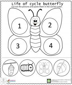 Life Cycle Of A Butterfly Toddlers, Lifecycle Of A Butterfly Preschool, The Very Hungry Caterpillar Life Cycle, Preschool Life Cycle Of A Butterfly, Butterfly For Preschoolers, Cycle Of Butterfly Preschool, Life Cycle Of A Caterpillar, Caterpillar Butterfly Preschool, Butterfly Lifecycle Preschool