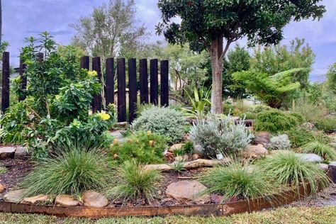 Garden Ideas Australia, Native Garden Design, Australian Landscapes, Australian Garden Design, Bush Garden, Native Gardens, Australian Native Garden, Front Garden Design, Native Plant Gardening