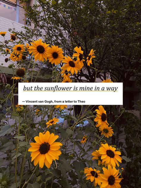 Positive Parenting Quotes, Sunflower Quotes, Sunflower Photography, Environment Painting, Phone Photo Editing, Diy Crafts Bookmarks, Flowery Wallpaper, Nothing But Flowers, The Sunflower