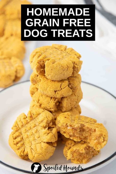 Homemade Grain Free Dog Treats are made with coconut flour, tapioca flour, pumpkin puree, peanut butter, and egg. Get the easy recipe and find out how to make the best grain free treats for dogs. These DIY dog treats have healthy, simple, and dog-safe ingredients. They’re gluten free, dairy free, and great for dogs with a wheat allergy. Homemade Dog Treats Without Flour, Healthy Dog Treats Homemade Grain Free, Grain Free Dog Treat Recipes Easy, Peanut Butter Dog Treats Recipes, Recipes For Dog Food Home Made, Grain Free Dog Treats Homemade, Gluten Free Dog Treats Homemade, Homemade Soft Dog Treats, Grain Free Dog Treat Recipes