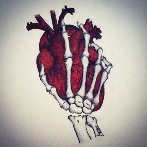 The Beating Heart Of A Skeleton by Julianna Hunter.  A pen drawing of a skeleton holding a heart.  #skeleton#heart#pendrawing"inspire#interesting#beating#red Hand Holding Heart Tattoo, Skeleton Hand Holding Heart, Skeleton Holding Heart, Holding Heart Tattoo, Hand Holding A Heart, Hand Holding Heart, A Heart Tattoo, Heart Tattoo Design, Skeleton Hand Holding