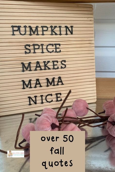 Fall Memo Board Quotes, Funny Letter Board Ideas Short, Fall Letter Board Ideas, Short Fall Quotes, Fall Letterboard Quotes, Letter Board Sayings, Fall Letterboard, Fall Letter Board, Campfire Quotes