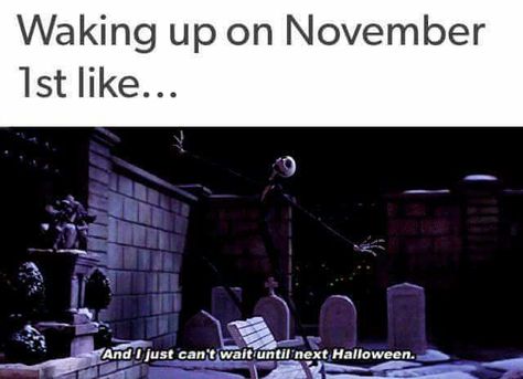 Halloween Meme, Spooky Memes, Fun Holidays, Halloween Memes, Halloween Photo, Sloths Funny, Funny Horror, November 1st, Halloween Quotes