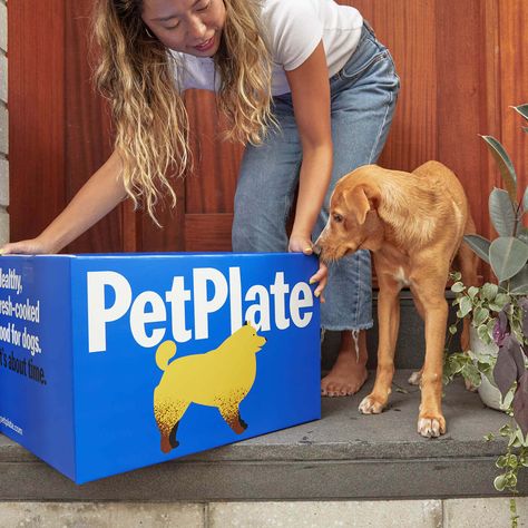 Fresh Dog Food, Dog Food Delivery, Make Dog Food, Brand Purpose, Dog Weight, Dog Ages, Brand Refresh, Brand Experience, Packaging Design Inspiration