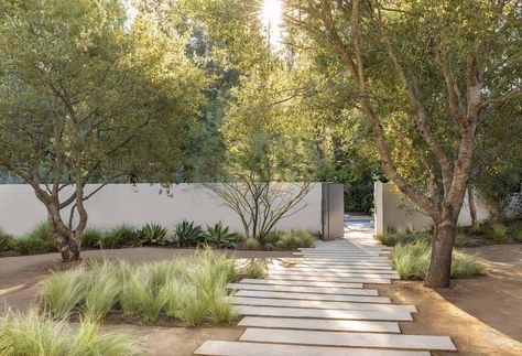 Hardscaping Backyard, Modern Hardscape, Hardscape Design, Rectangular Pool, Front Yards, Modern Landscape, Wine Country California, Luxe Interiors, Capitol Hill