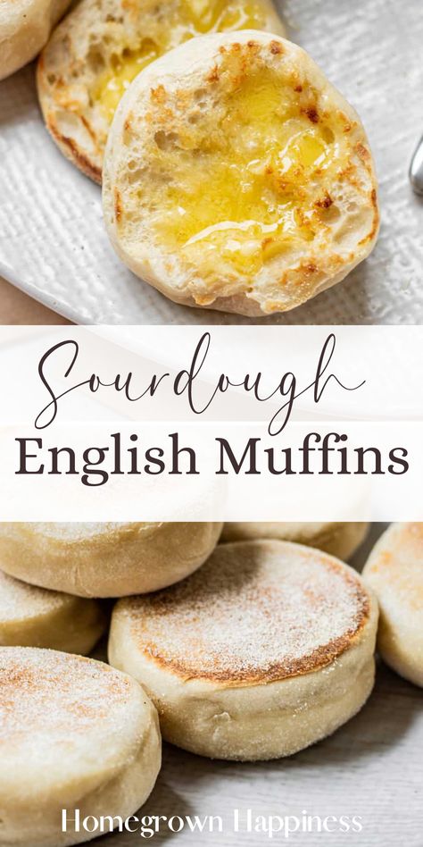 Revamp your breakfast routine with our Sourdough English Muffins. They're a game-changer, offering a tasty twist on a morning classic. Farmhouse On Boone Sourdough English Muffins, Sourdough Starter English Muffins, Same Day Sourdough English Muffins, English Muffin Sourdough Recipe, Overnight Sourdough English Muffins, English Muffin Recipe Sourdough, Sourdough English Muffins Recipe, Sour Dough English Muffins, English Muffins Sourdough