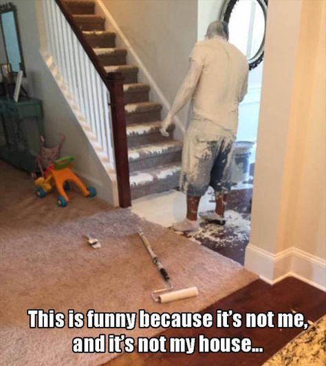 Win because its not my house or me either Best Funny Photos, Friday Humor, Daily Funny, Gone Wrong, Morning Pictures, Picture Collection, Home Improvement Projects, Funny Photos, Make Me Smile